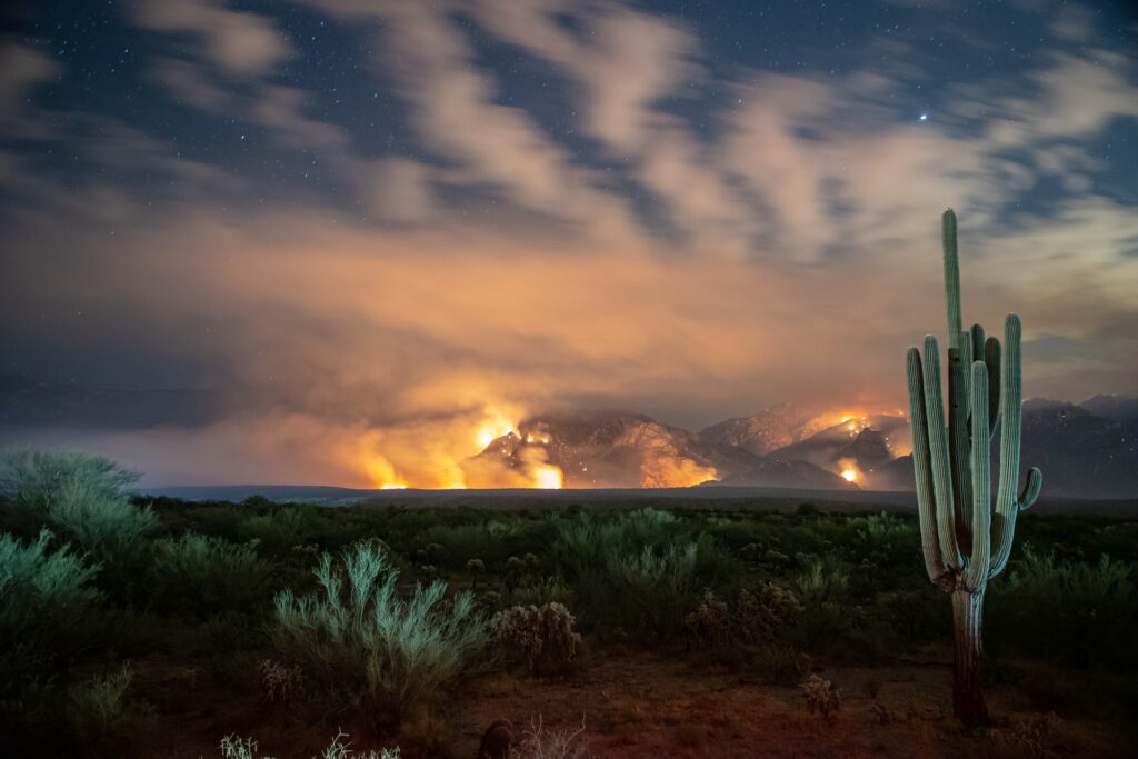 Burning desert with cactus in foreground.